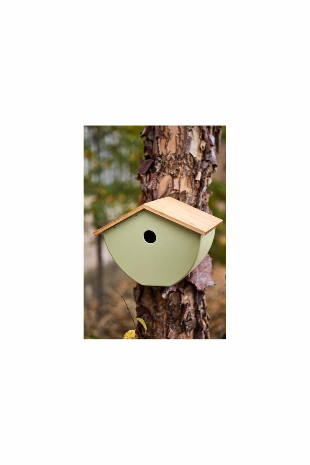 Garden Accents | Bamboo Birdhouse Moss Garden Garden Accents