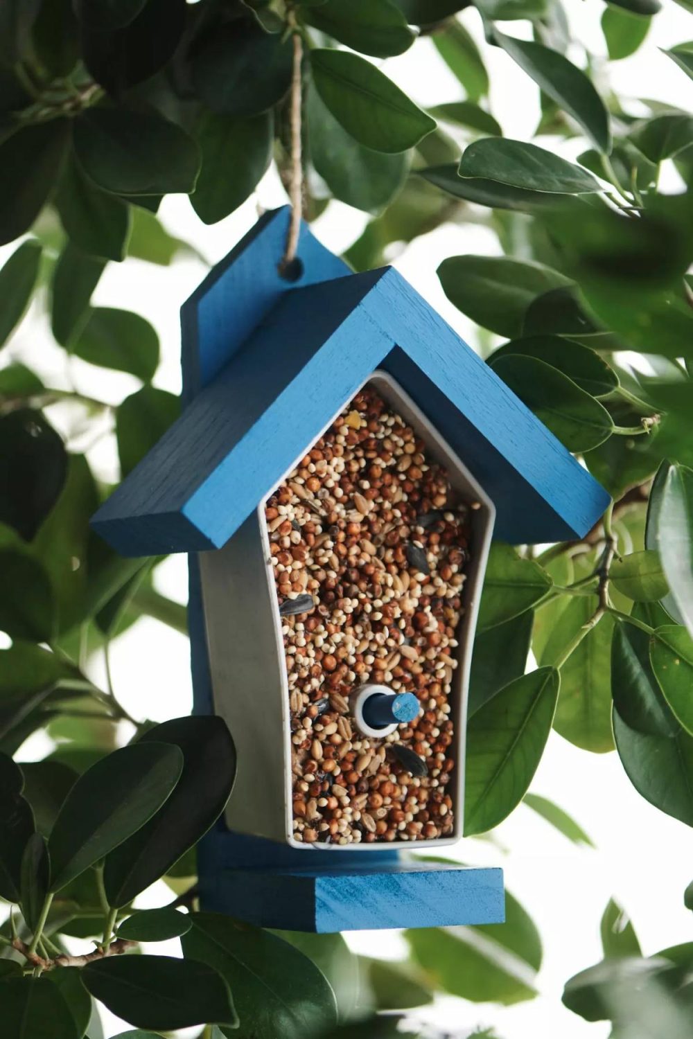 Garden Accents | DIY Kid’s Bird Feeder Kit Blue Garden Blue