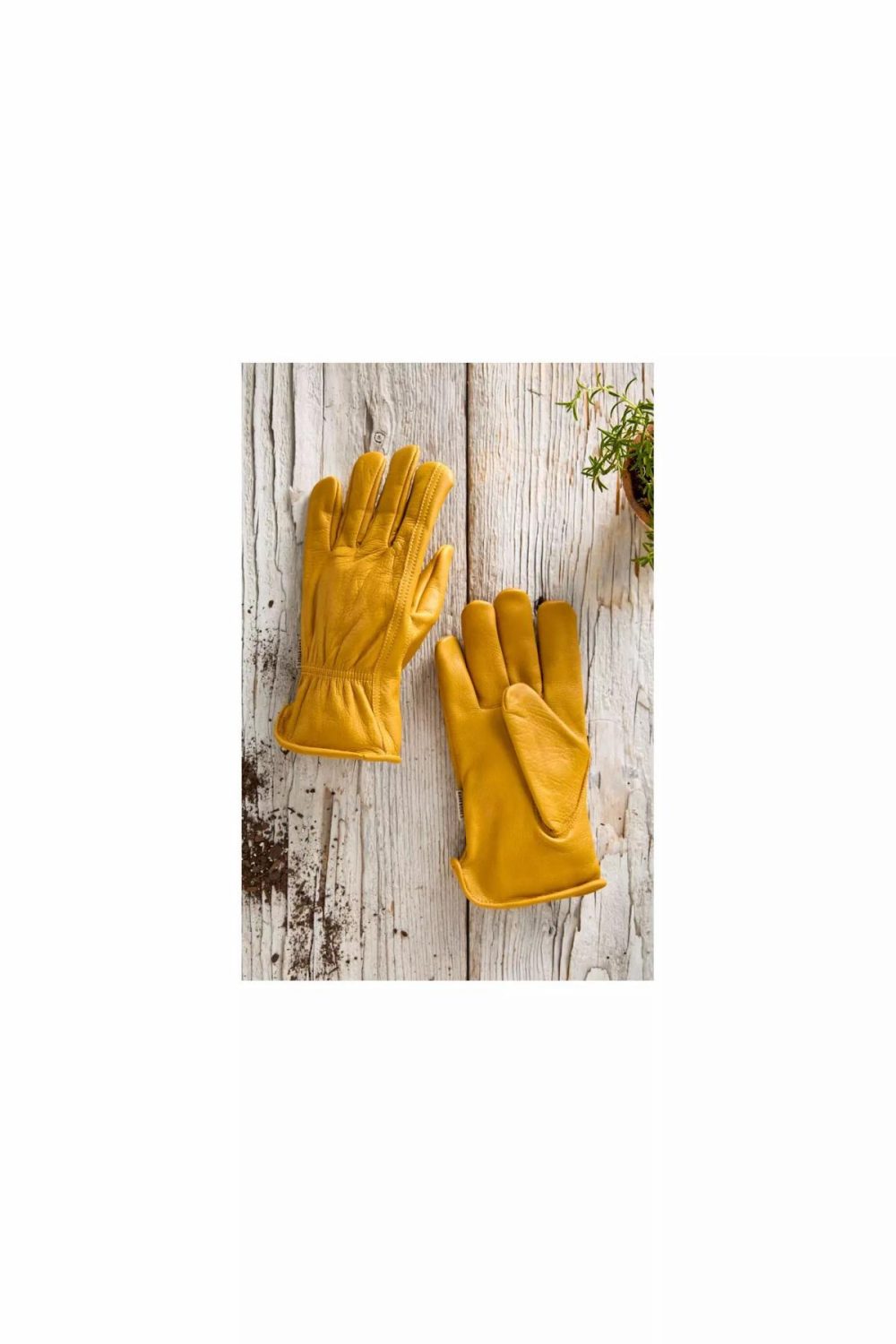 Garden Apparel | Barebones Leather Work Gloves Yellow Garden Garden Apparel