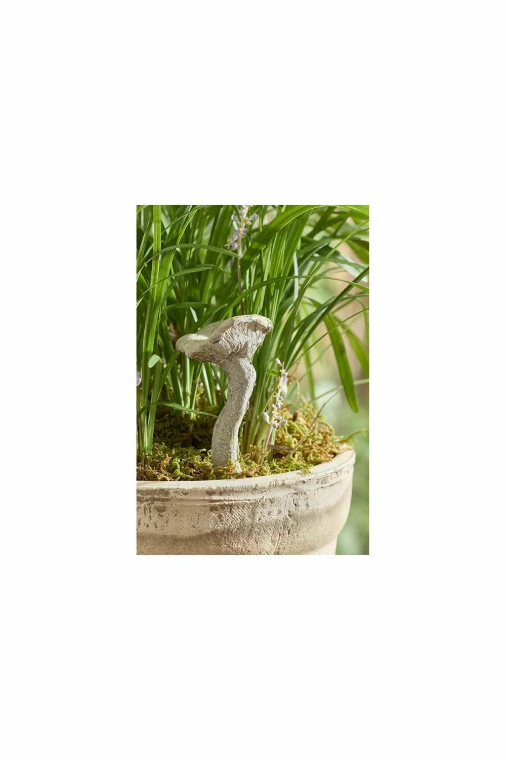 Garden Tools | Bluefoot Mushroom Concrete Pick Natural Garden Garden Accents