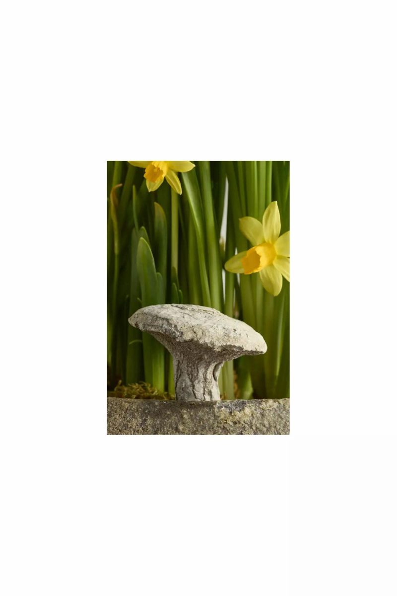 Garden Tools | Hermes Mushroom Concrete Pick Natural Garden Garden Accents