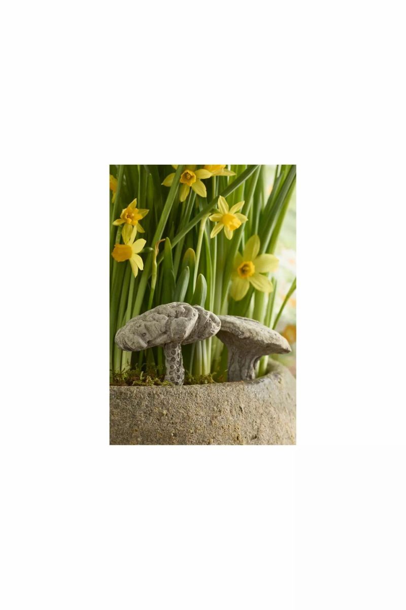 Garden Tools | Hermes Mushroom Concrete Pick Natural Garden Garden Accents