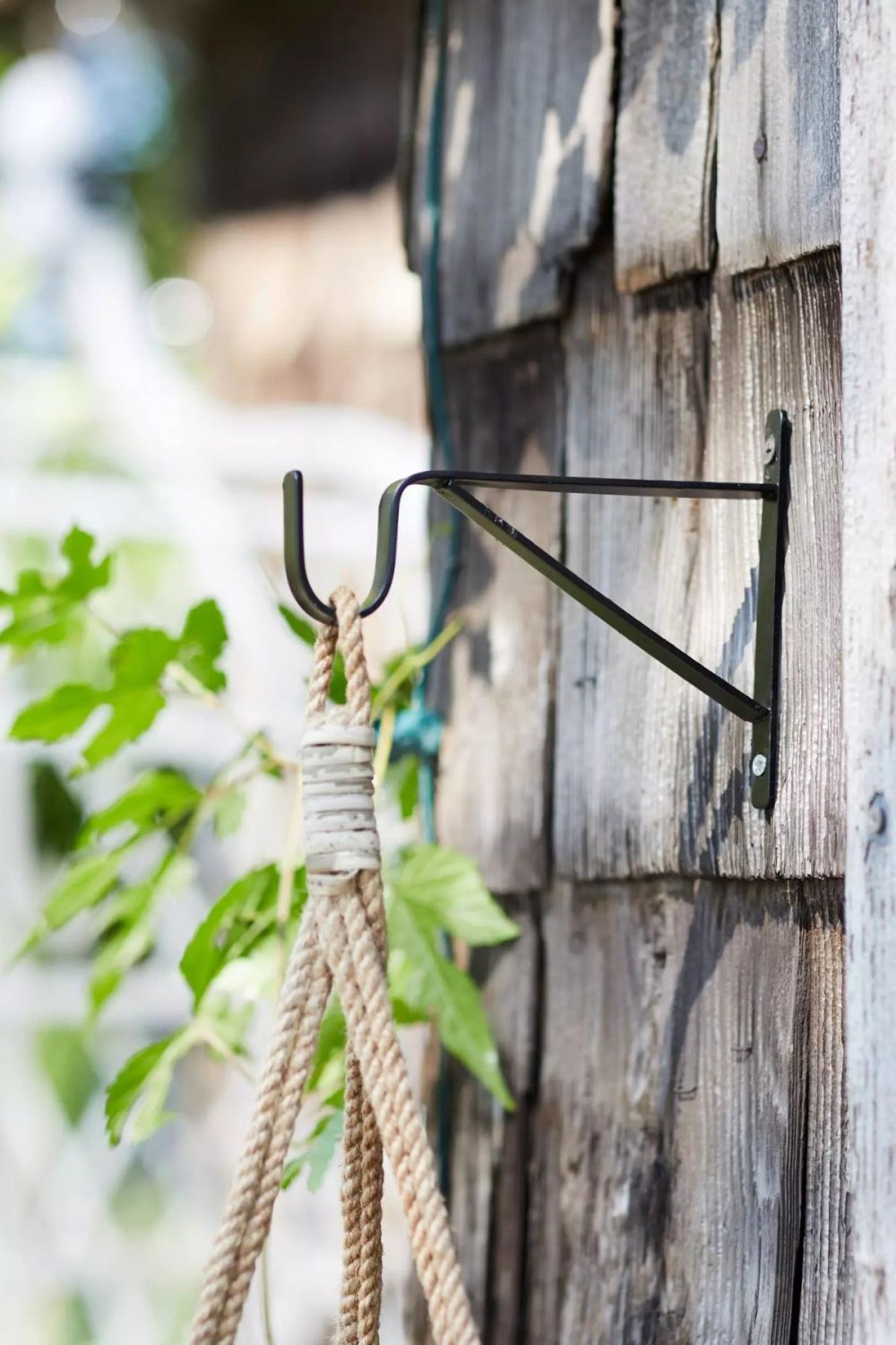 Garden Tools | Iron Wall Plant Hanger Black Garden Black