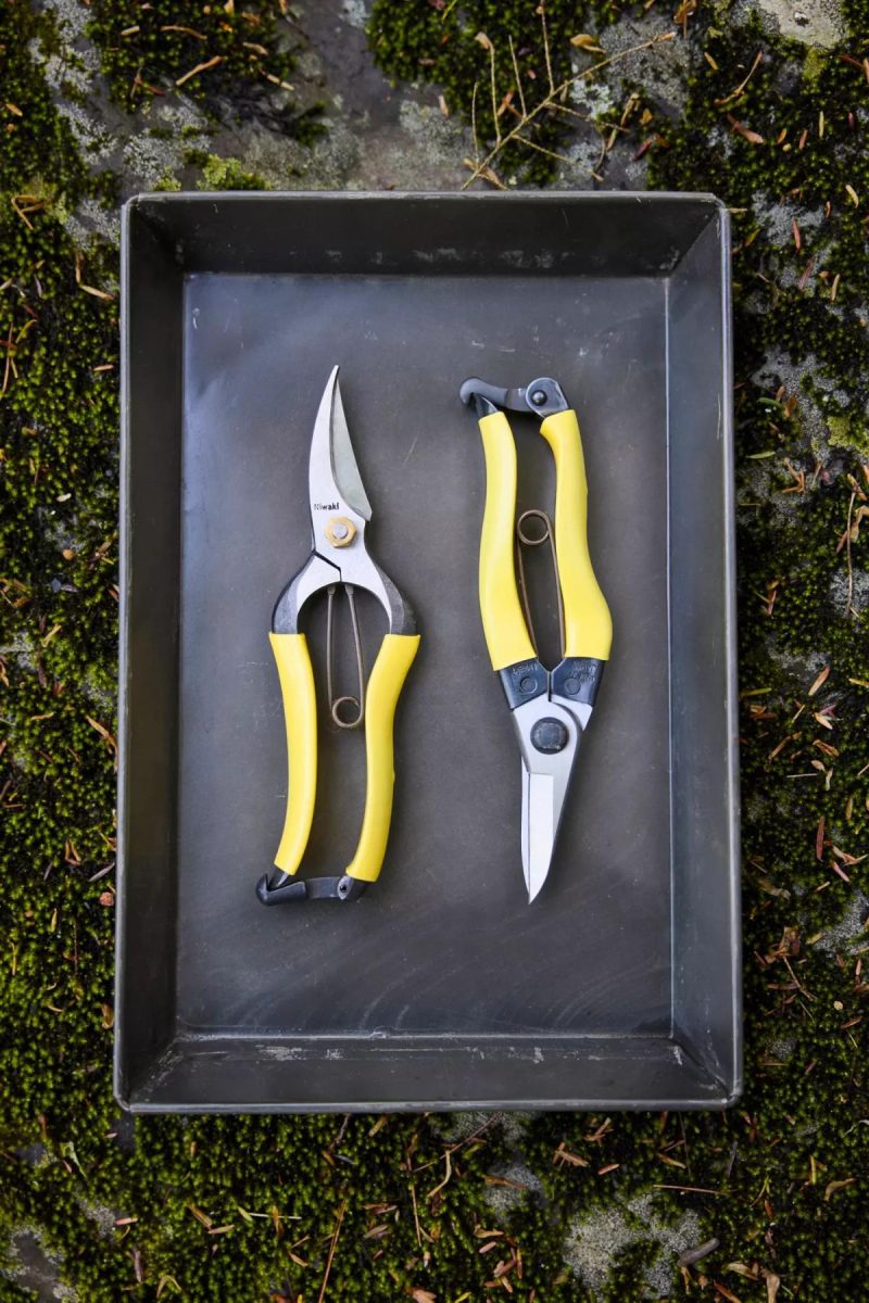 Garden Tools | Niwaki Lightweight Hybrid Secateurs Assorted Garden Assorted