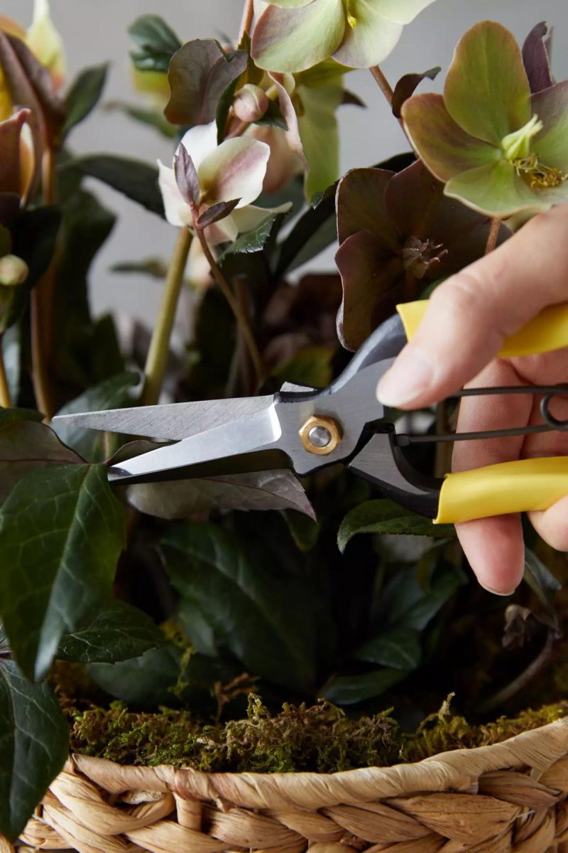 Garden Tools | Niwaki Lightweight Hybrid Secateurs Assorted Garden Assorted