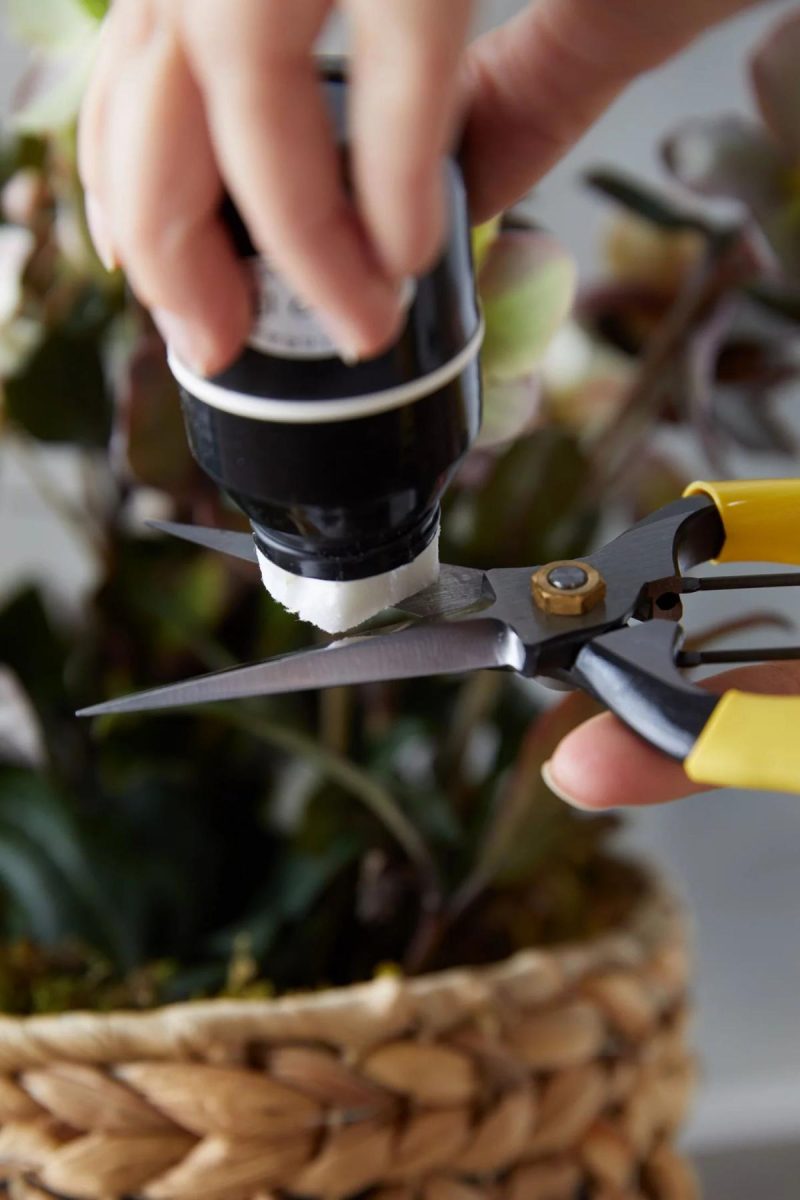 Garden Tools | Niwaki Lightweight Hybrid Secateurs Assorted Garden Assorted