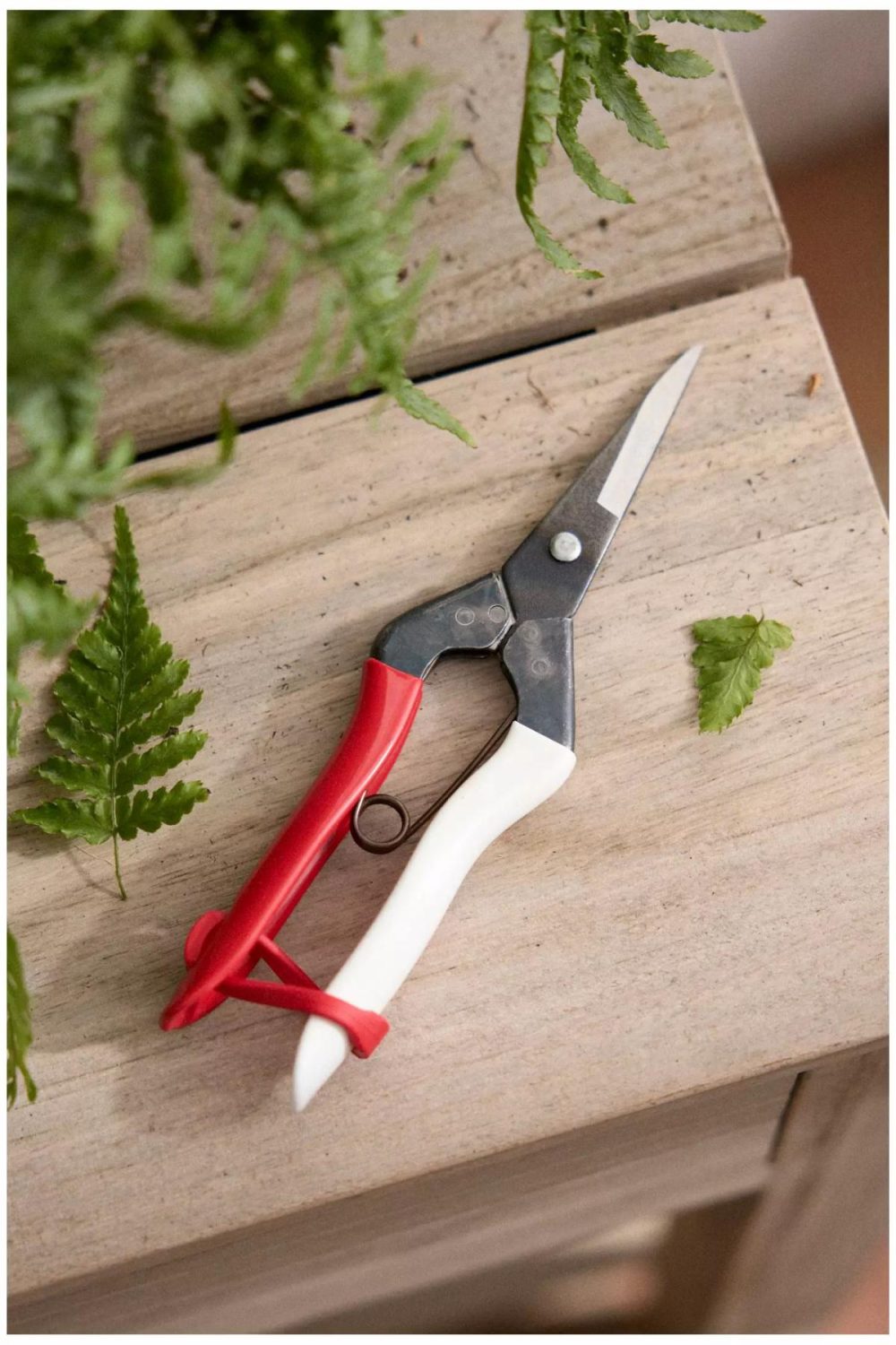 Garden Tools | Okatsune Thinning Shears Red Garden Garden Tools