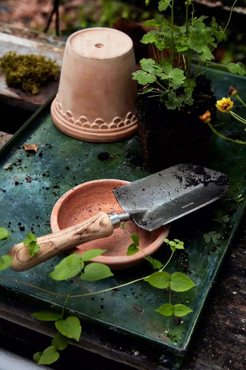 Garden Tools | Sneeboer Half Round Trowel Gift Set Assorted Garden Assorted