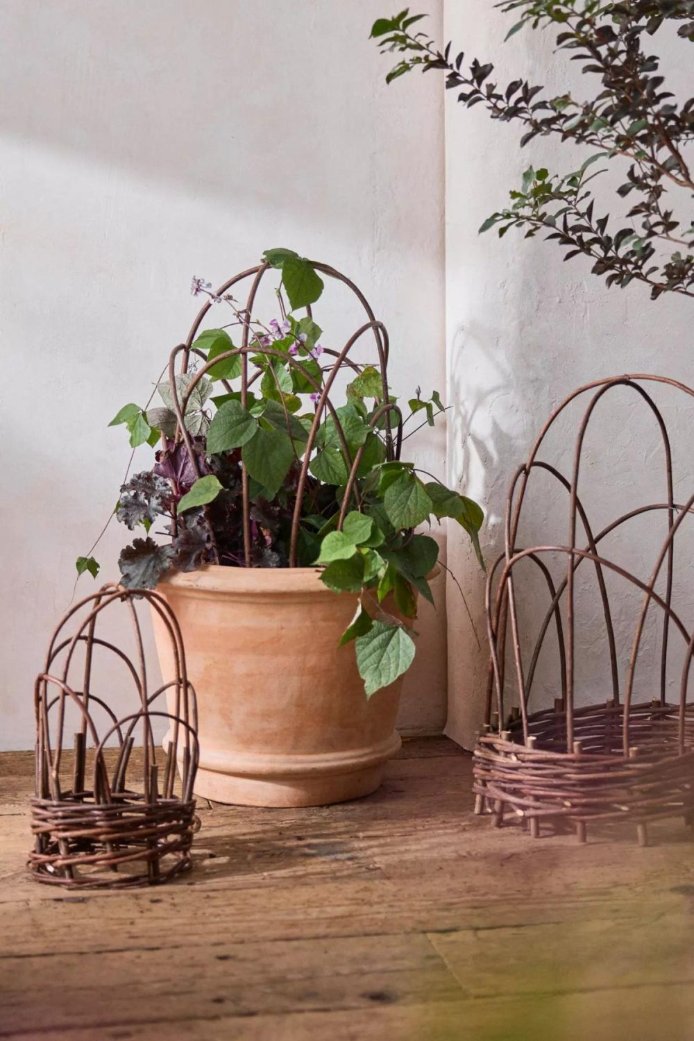 Garden Tools | Woven Willow Cloche Natural Garden Garden Accents