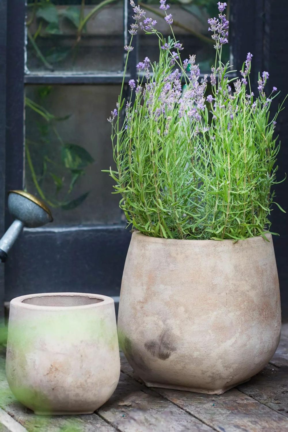 Outdoor Décor | Aged Ceramic Planter, 12 Natural Garden Natural