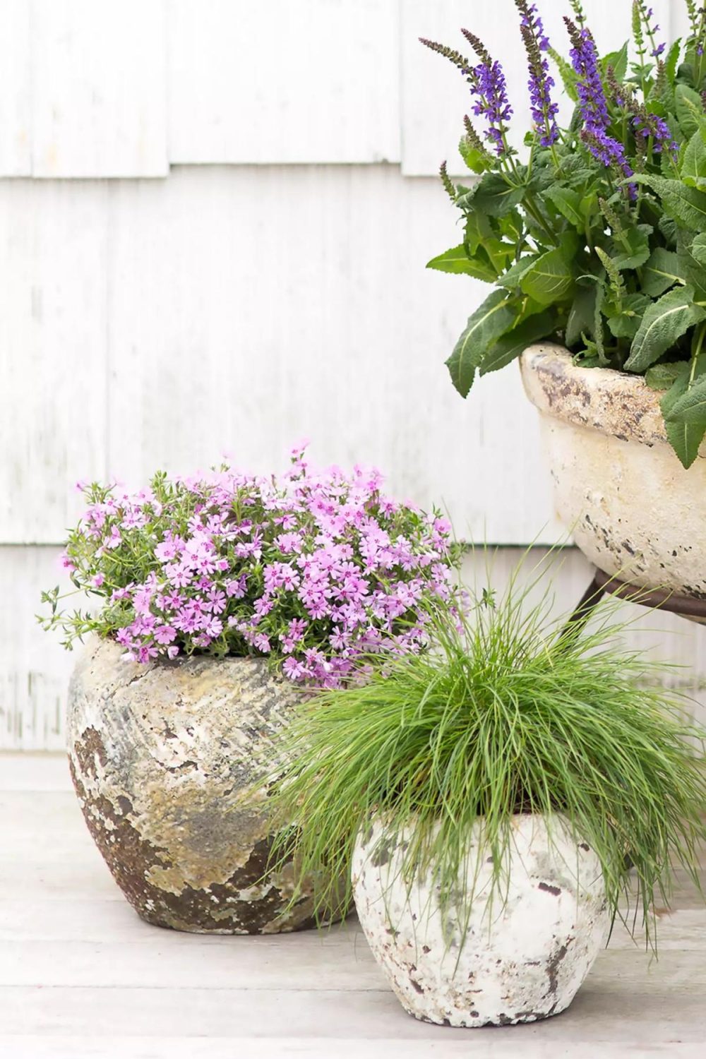 Outdoor Décor | Barnacle Round Shoulder Pot Cream Garden Cream