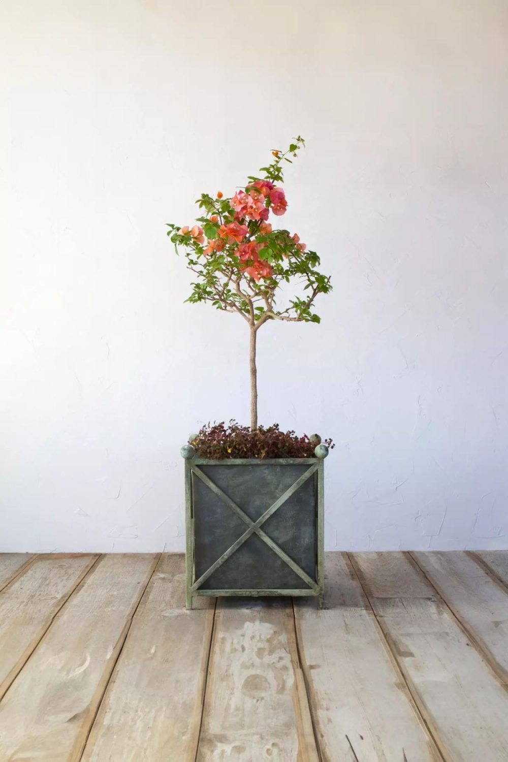 Outdoor Décor | Cross Frame Iron Planter Green Garden Outdoor Décor