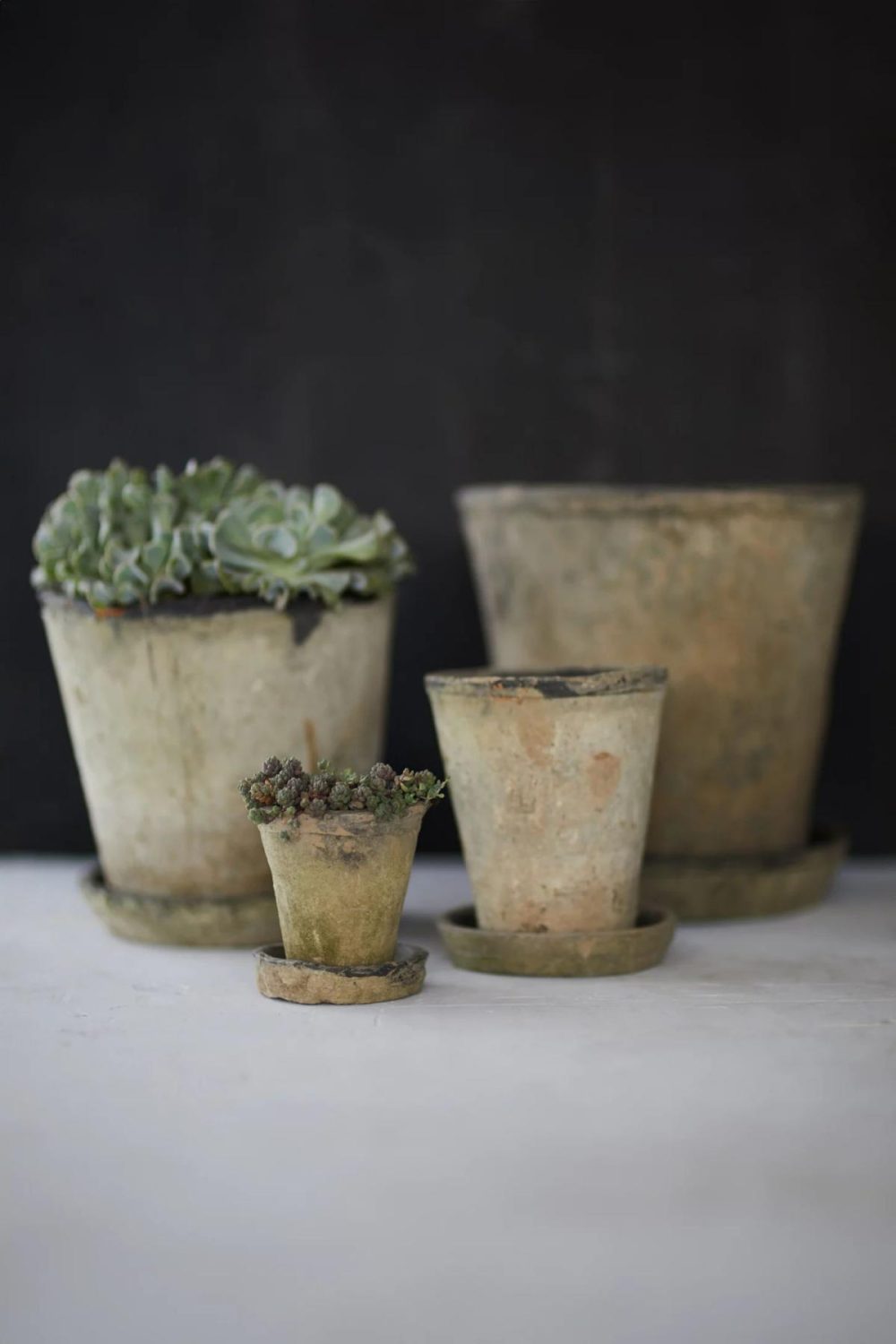 Outdoor Décor | Earth Fired Clay Herb Pot + Saucer Set Grey Garden Grey