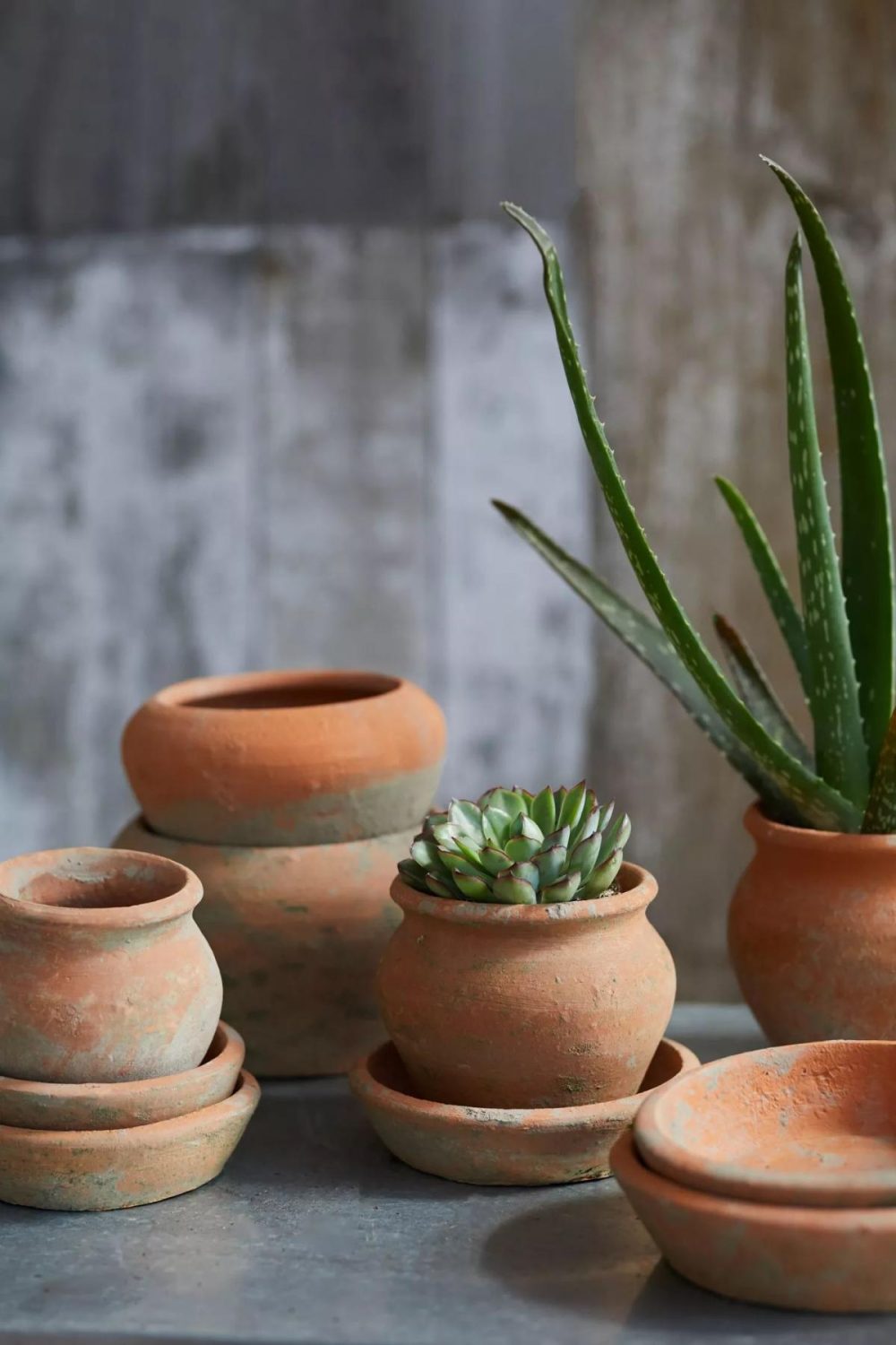 Outdoor Décor | Earth Fired Clay Natural Curve Pots + Saucers, Set of 3 Sizes Orange Garden Orange