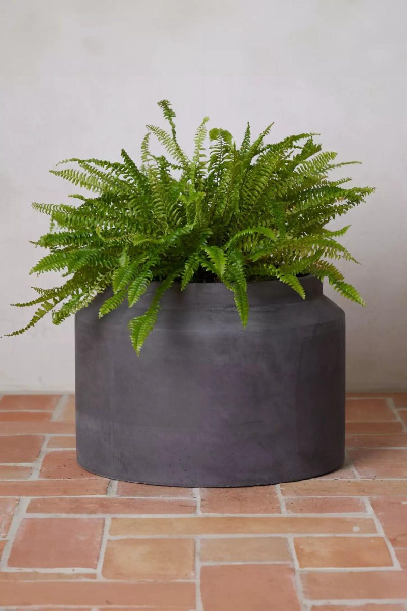 Outdoor Décor | Fiber Jar Planter, 21 Black Garden Black