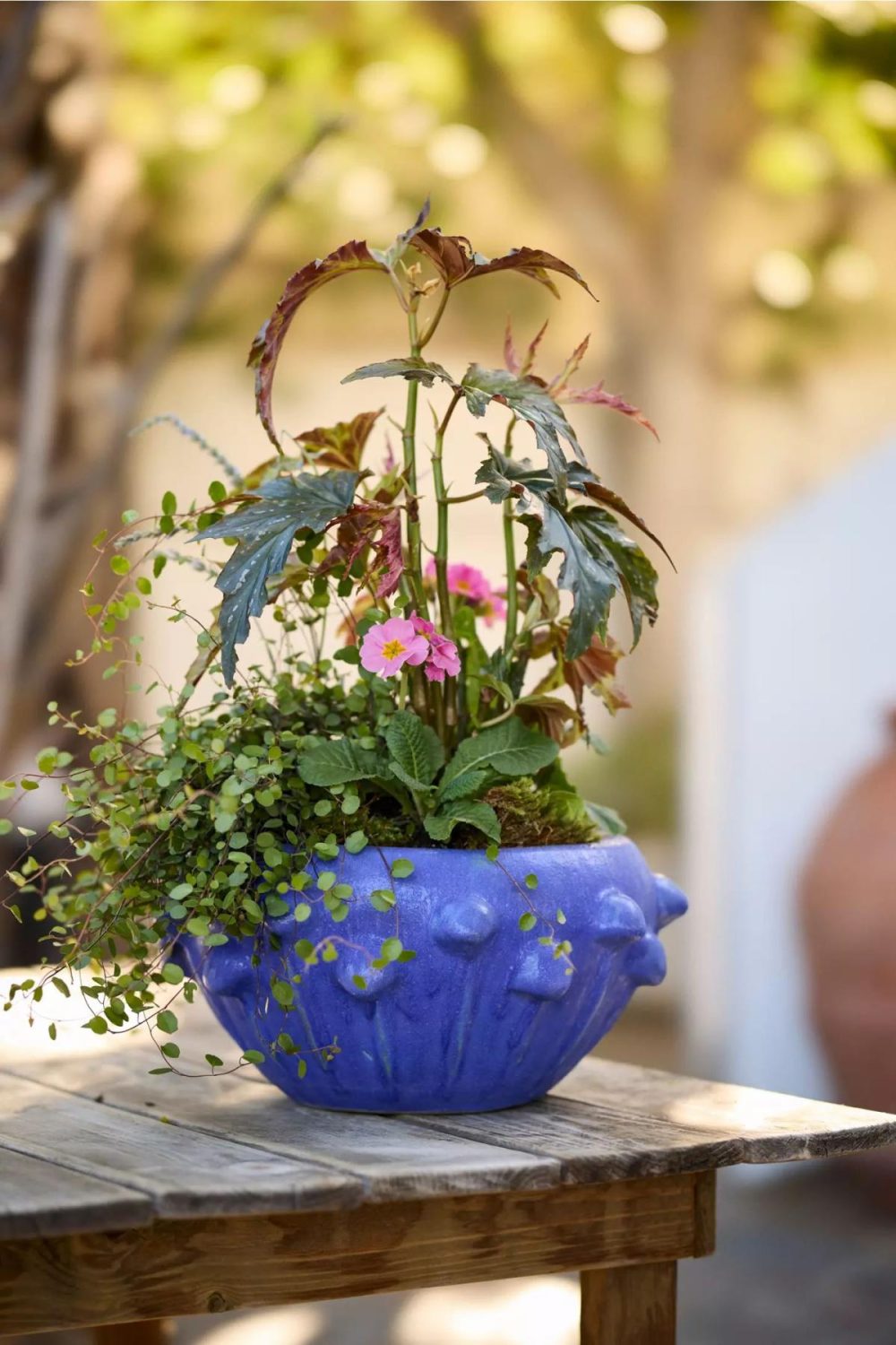 Outdoor Décor | Knobby Blue Stoneware Bowl Planter Blue Garden Blue