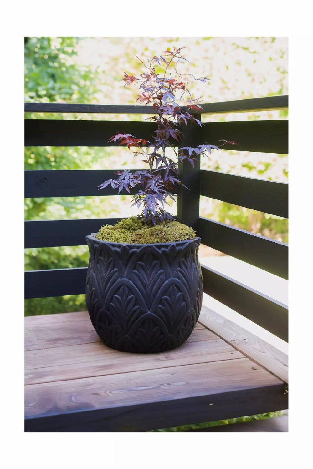 Outdoor Décor | Paloma Ceramic Planter, 18 Black Garden Black