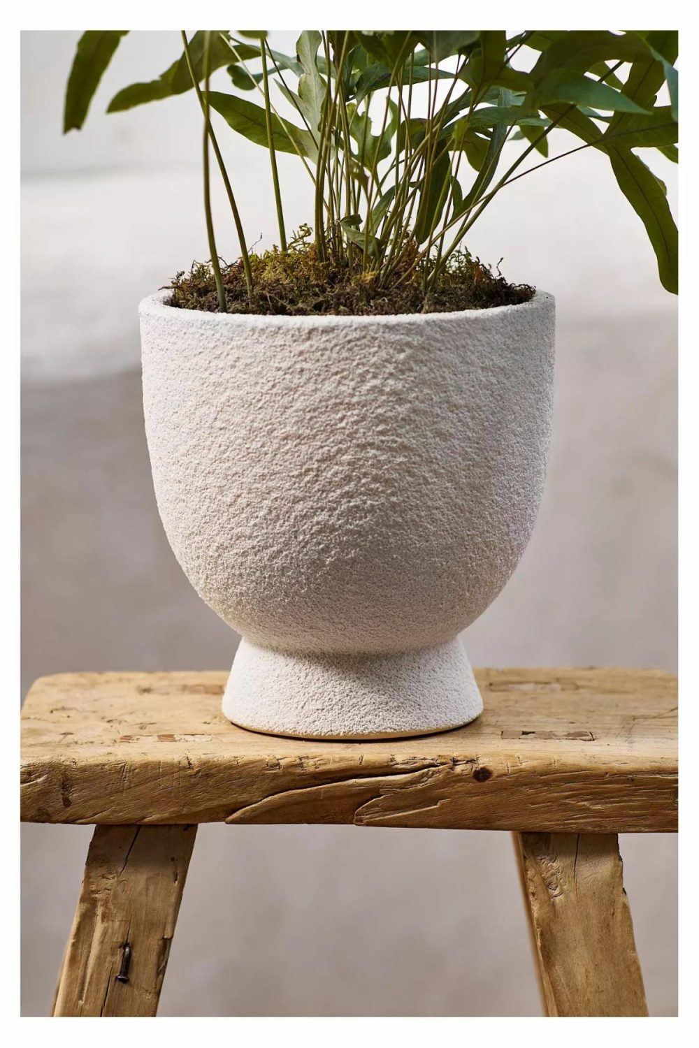 Outdoor Décor | Urn Foot Ceramic Planter White Garden Outdoor Décor