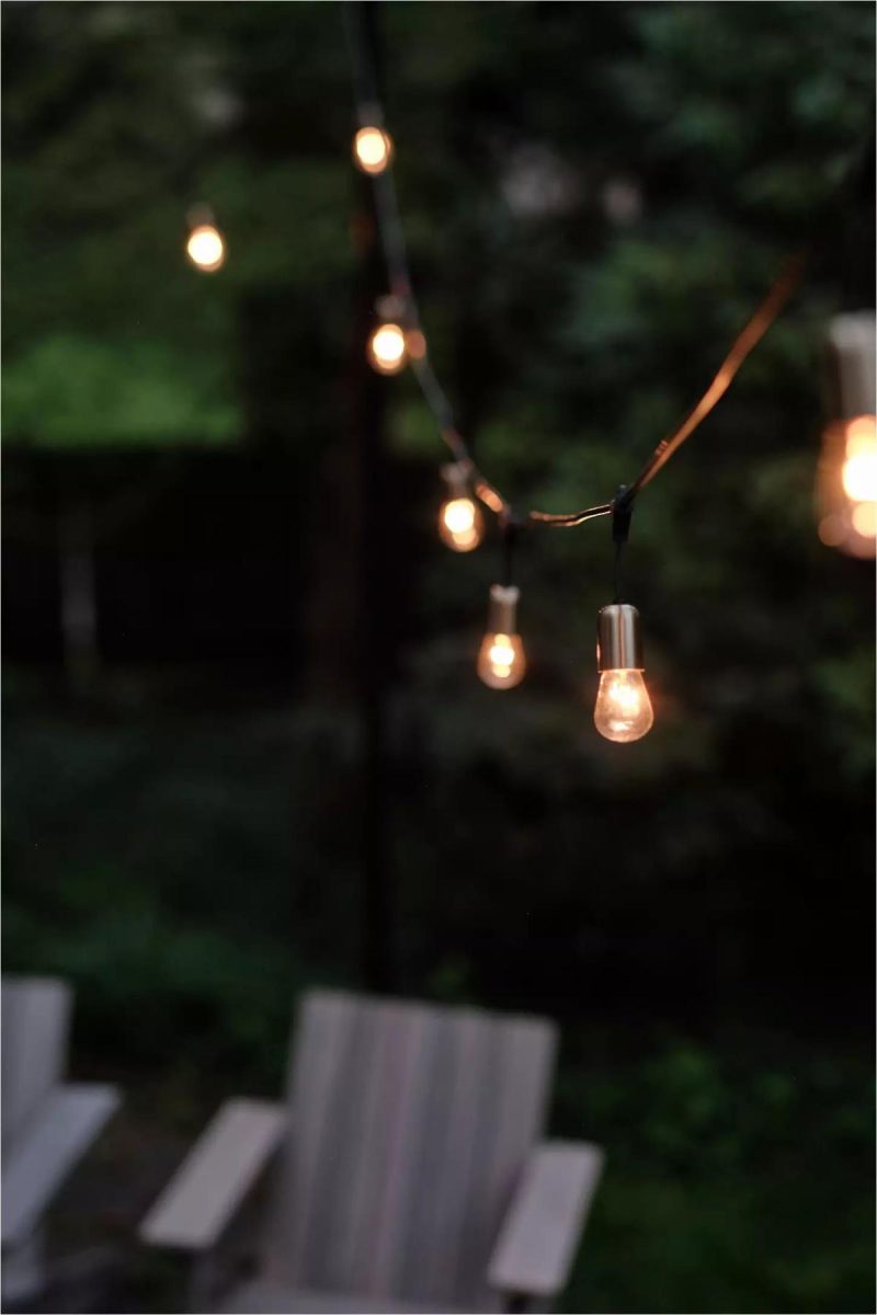 Outdoor Lighting | Commercial LED Light Strand, Brass Cap Assorted Garden Assorted