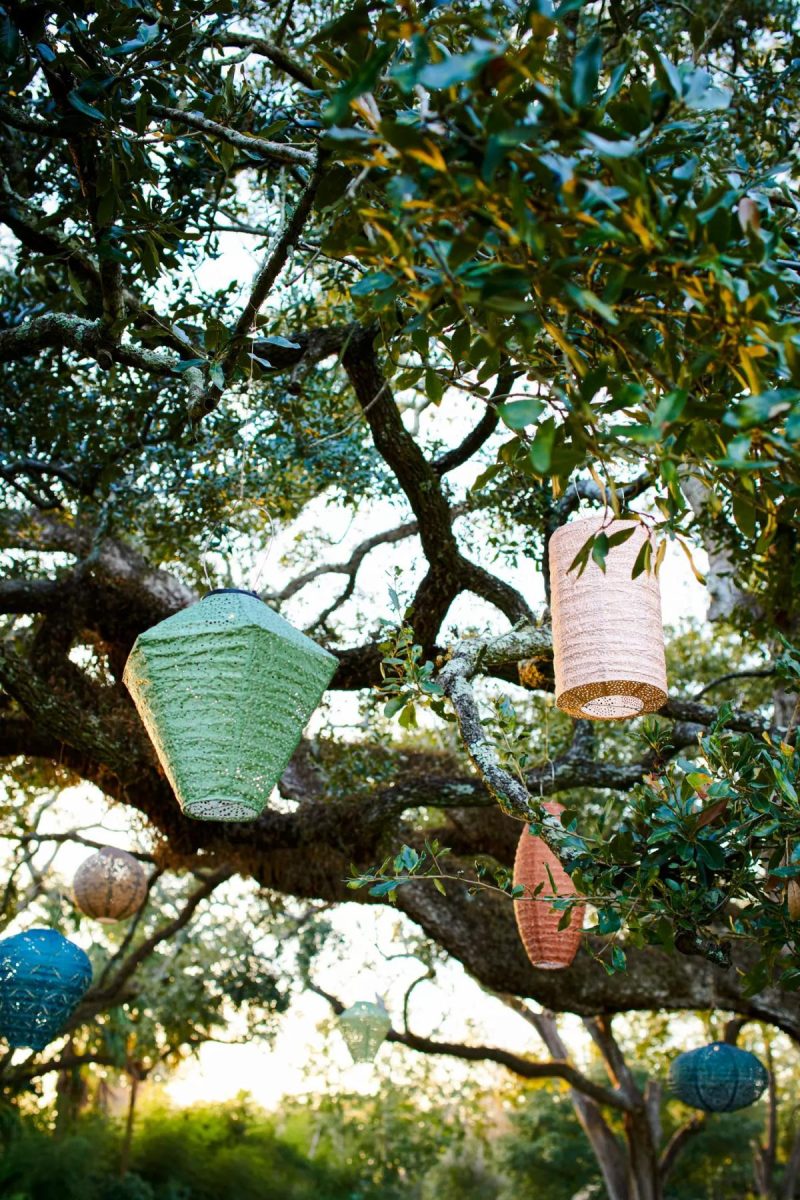 Outdoor Lighting | Floral Lace Battery Lantern, Diamond Holly Garden Holly