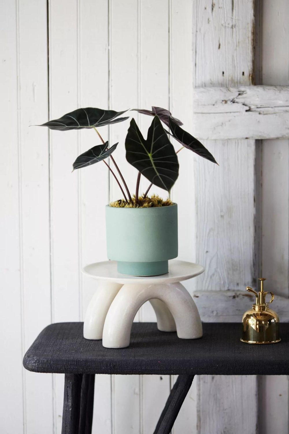 Plant Stands | Ceramic Double Footed Riser White Garden Plant Stands