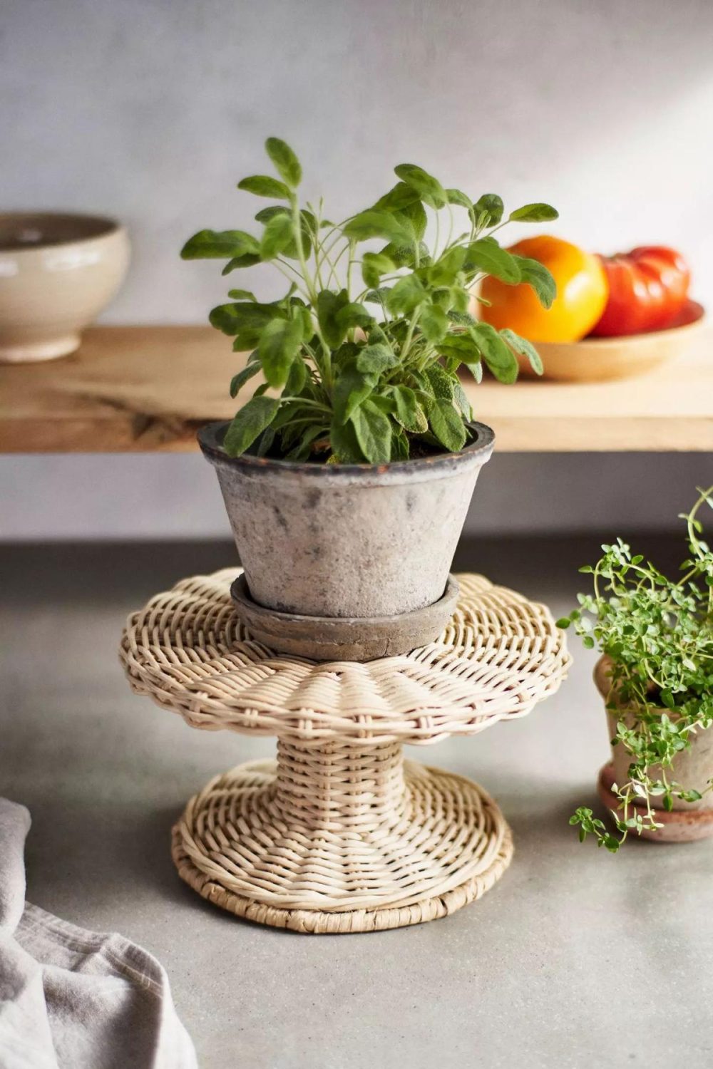 Plant Stands | Rattan Riser Neutral Garden Neutral