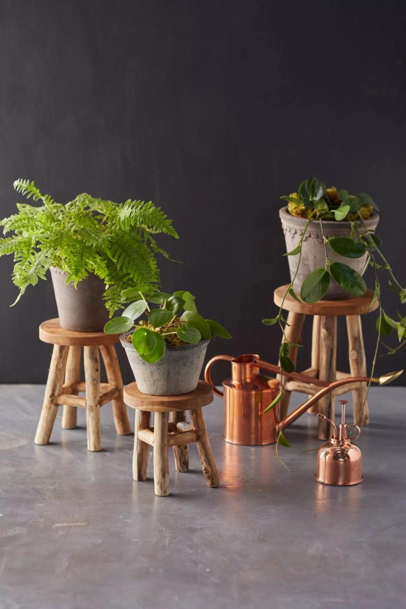 Plant Stands | Teak Plant Stand, Tall Natural Garden Natural