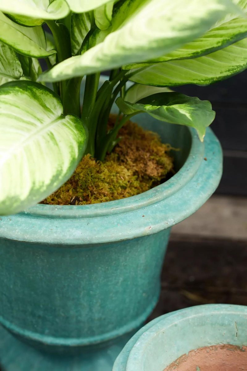 Planters | Aeros Ceramic Urn, 23 Green Garden Outdoor Décor