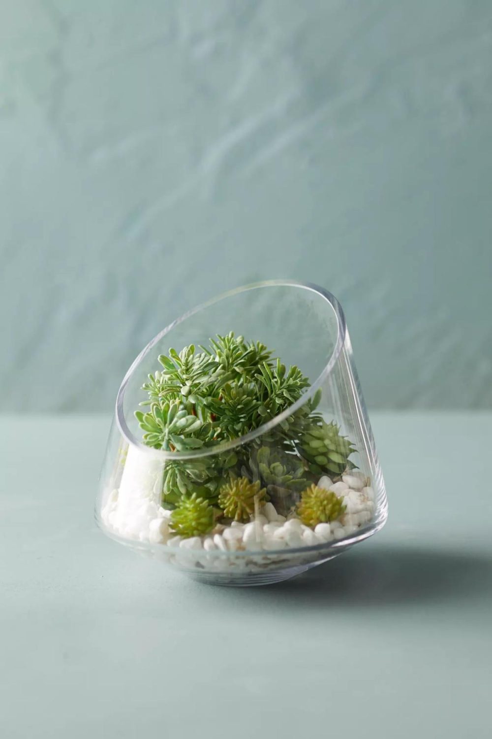 Planters | Angled Edge Terrarium-lrg Clear Garden Clear