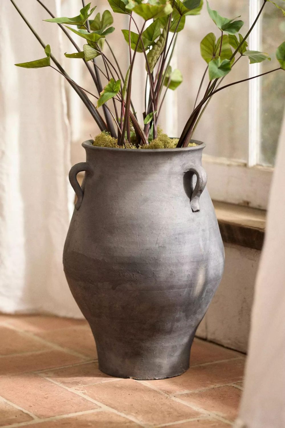 Planters | Aria Amphora Jar Planter Black Garden Black