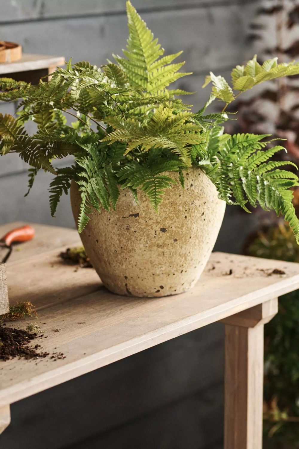 Planters | Barnacle Round Shoulder Planter, 9 Cream Garden Cream