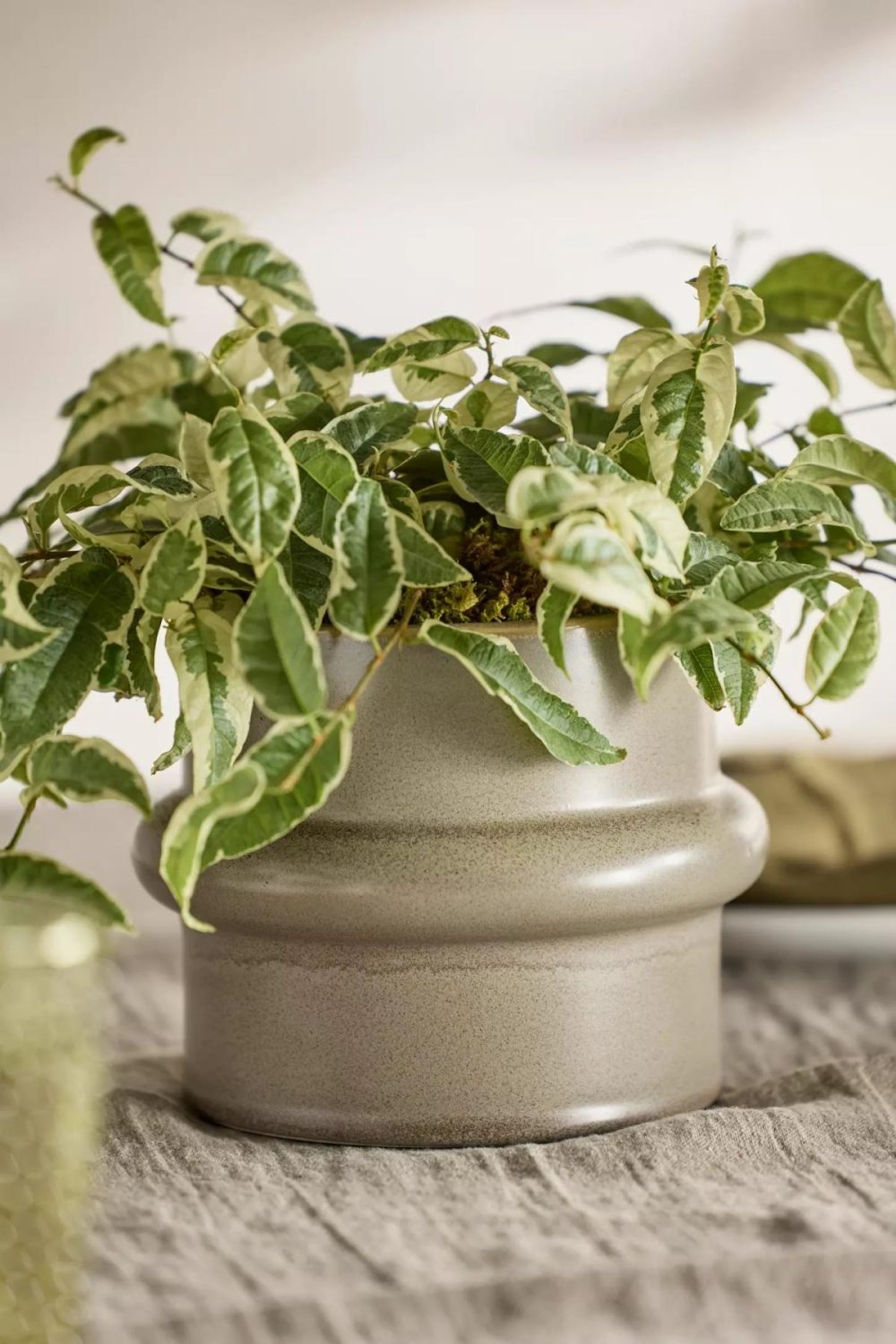 Planters | Belted Clay Pot Grey Garden Grey