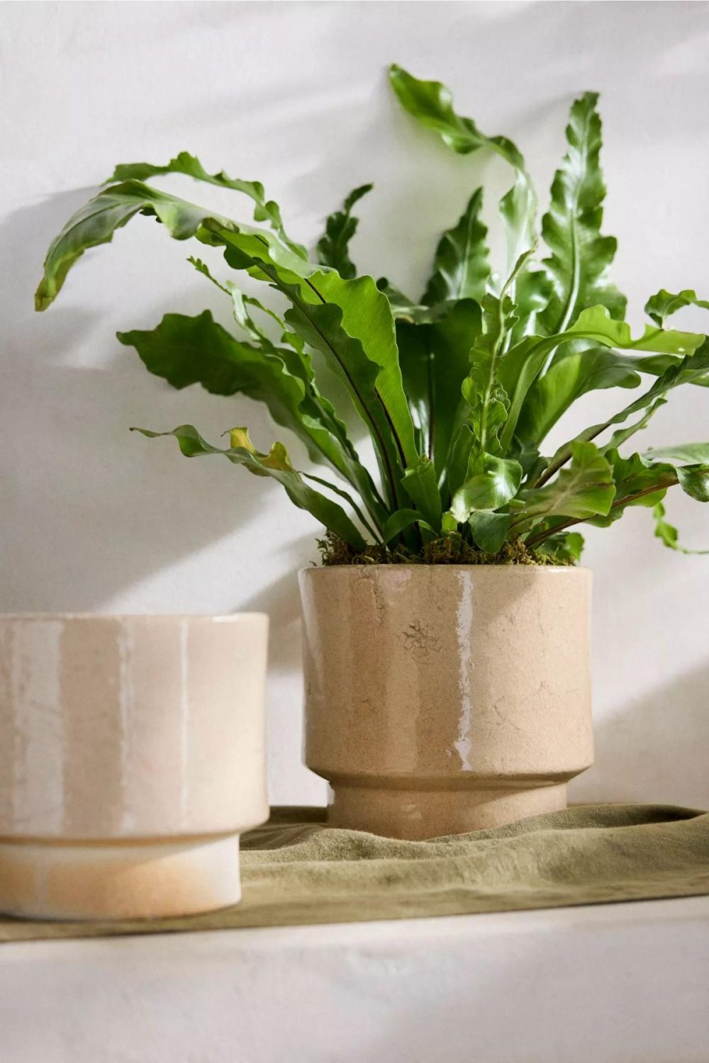 Planters | Cumin Glaze Footed Planter Cream Garden Cream