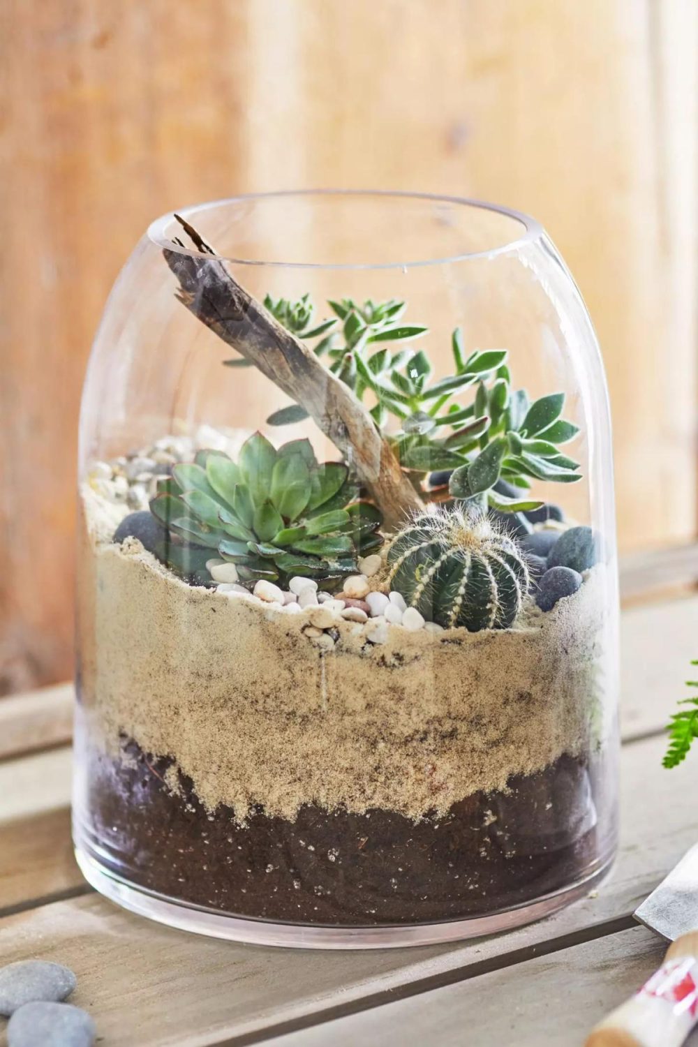 Planters | Domed Terrarium Clear Garden Clear