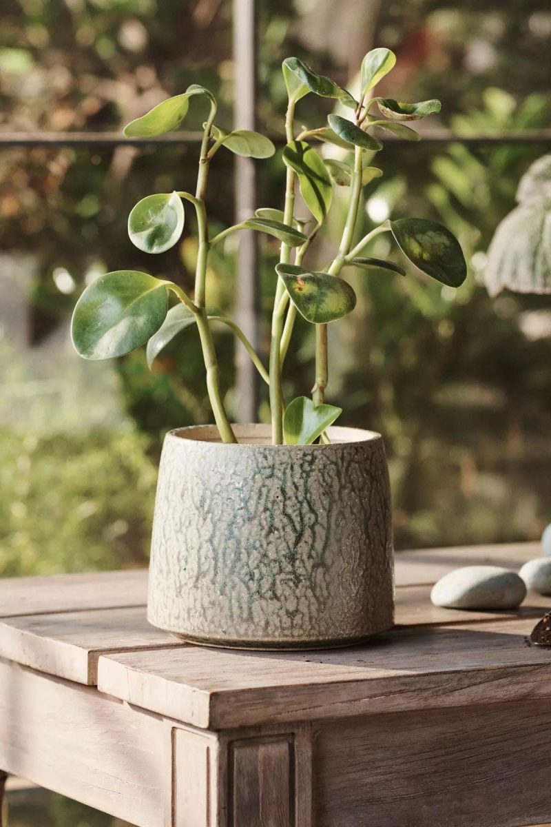 Planters | Drippy Ceramic Planter, 6 Green Garden Planters