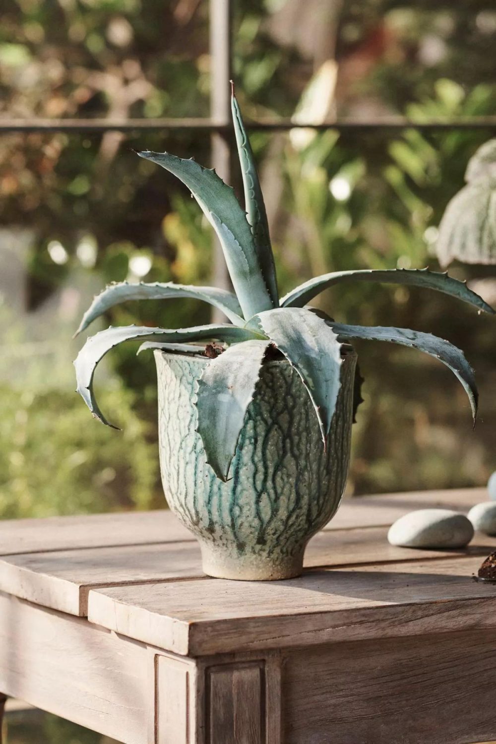 Planters | Drippy Ceramic Tulip Planter, 6 Green Garden Planters