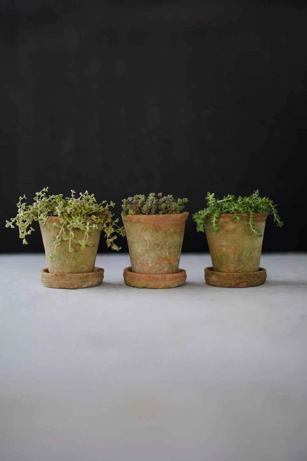 Planters | Earth Fired Clay Herb Pot + Saucer, Set of 3 Terra Cotta Garden Planters