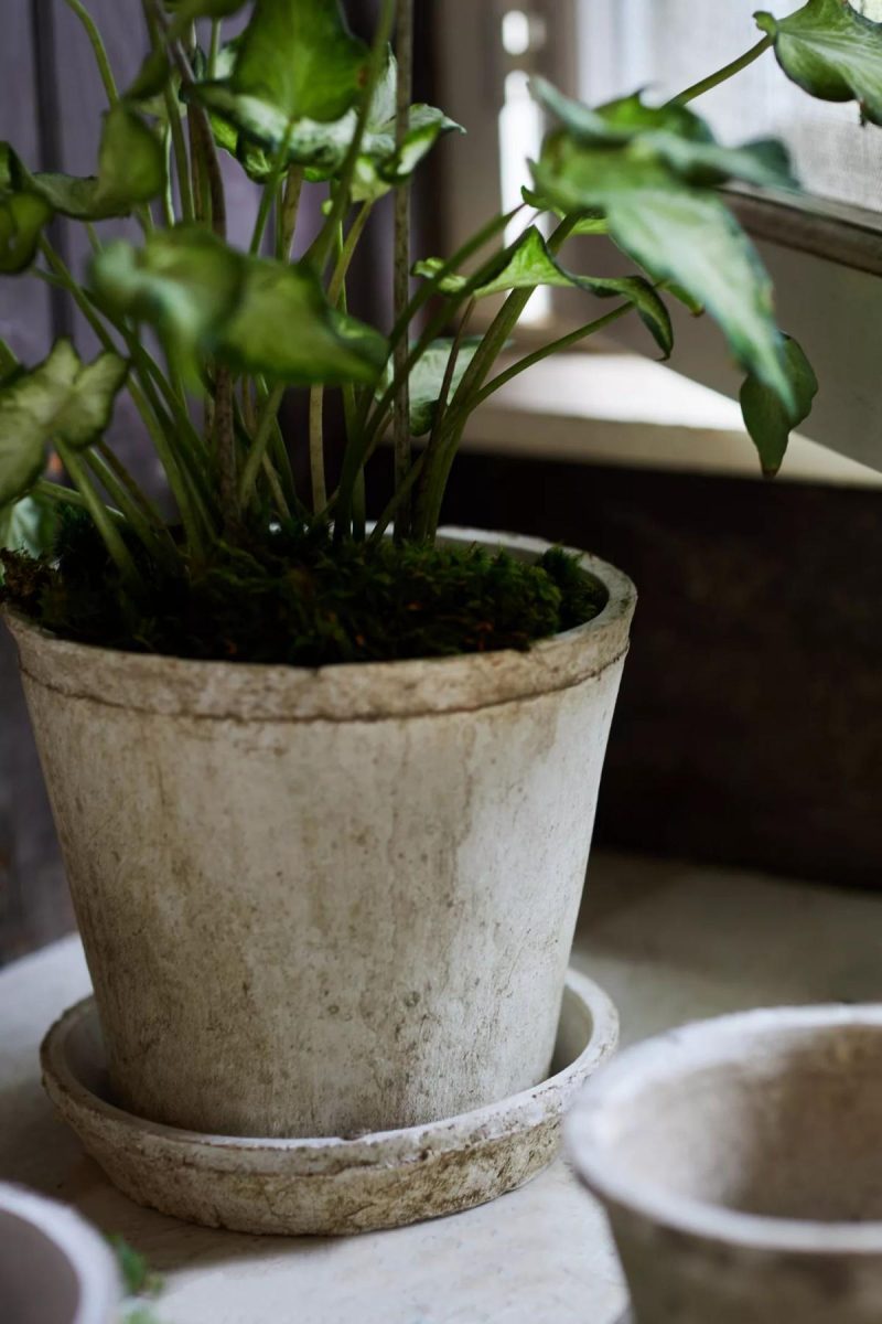 Planters | Earth Fired Clay Pot + Saucer, Set of 3 White Garden Planters