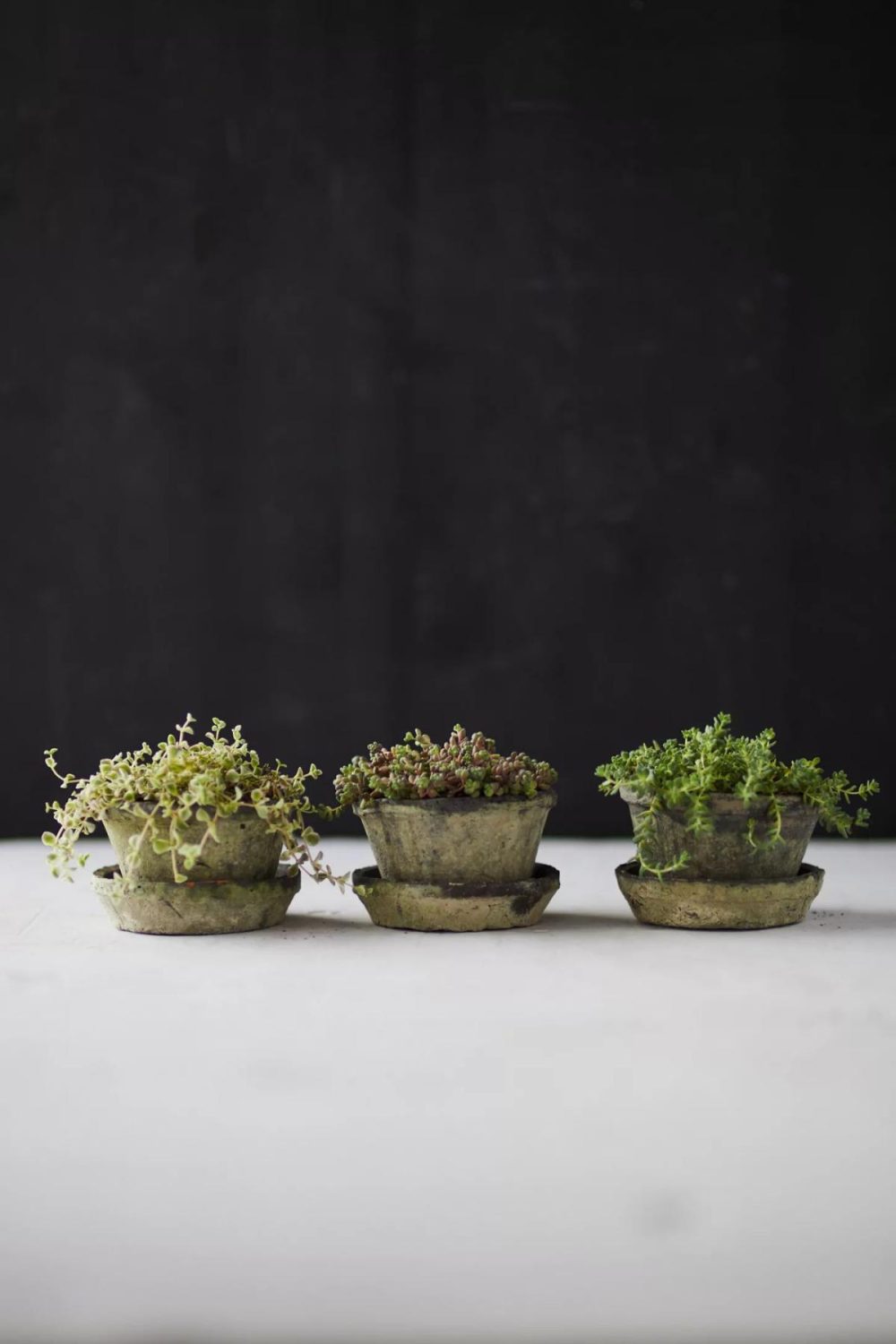 Planters | Earth Fired Clay Thin Rim Pot + Saucer, Set of 3 Grey Garden Grey