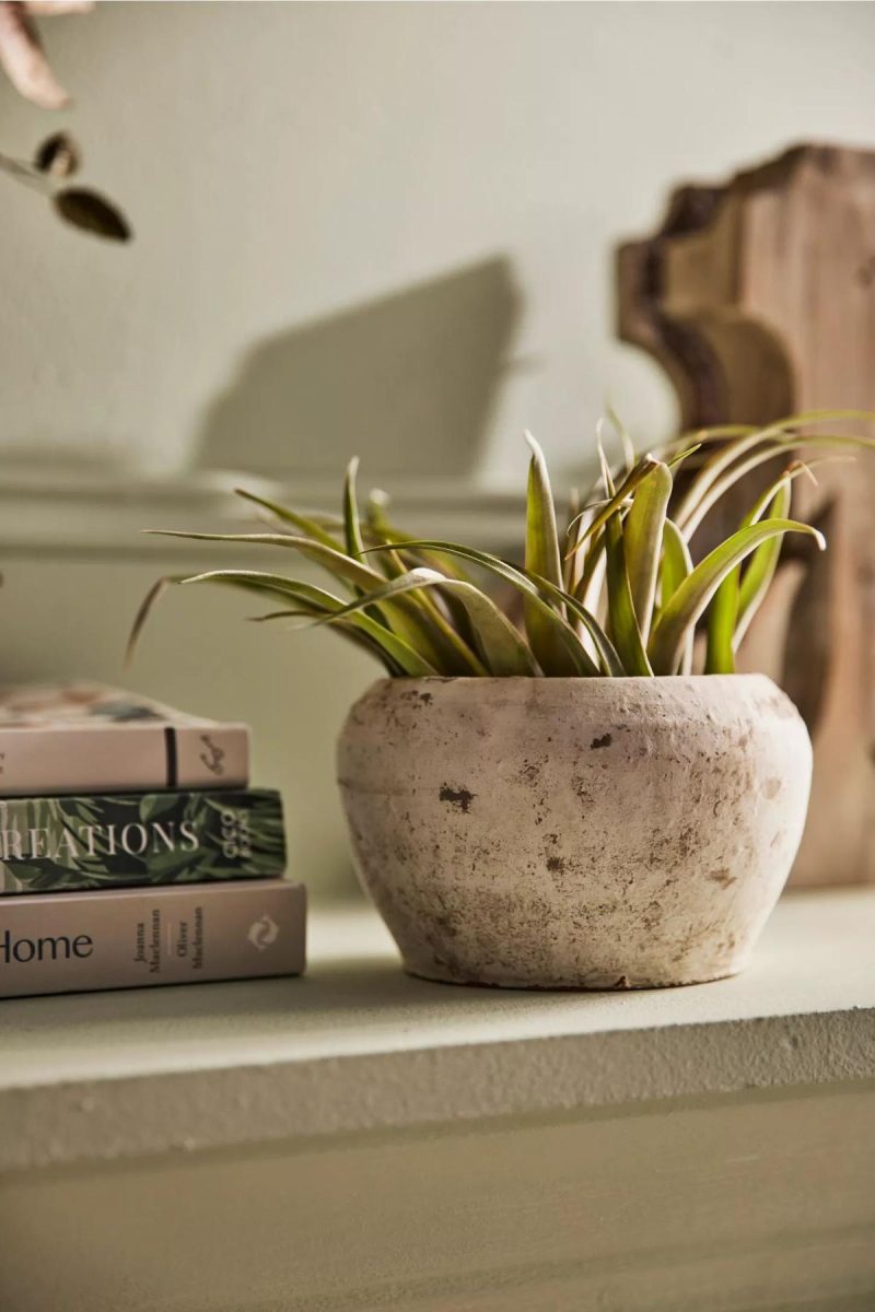 Planters | Earth Fired Clay White Curve Pots + Saucers, 2 Sizes Set White Garden Planters