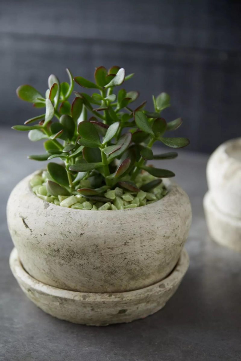 Planters | Earth Fired Clay White Curve Pots + Saucers, 2 Sizes Set White Garden Planters