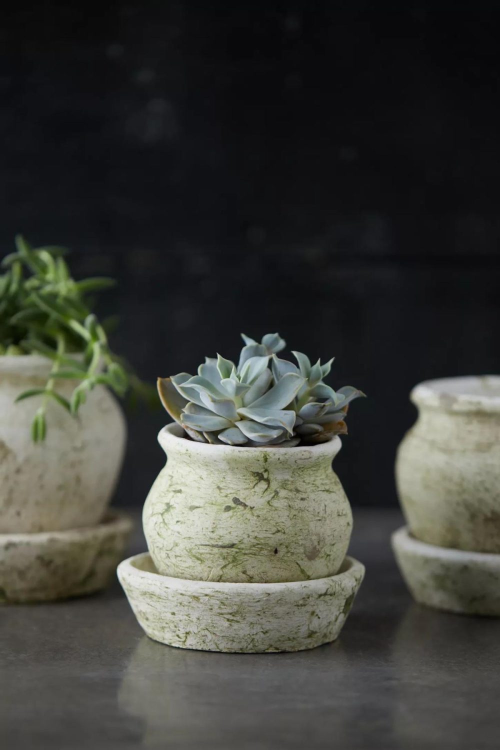 Planters | Earth Fired Clay White Curve Pots + Saucers, 3 Sizes Set White Garden Planters