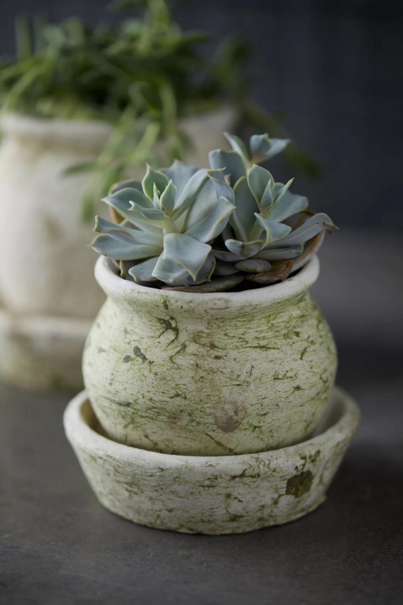 Planters | Earth Fired Clay White Curve Pots + Saucers, 3 Sizes Set White Garden Planters