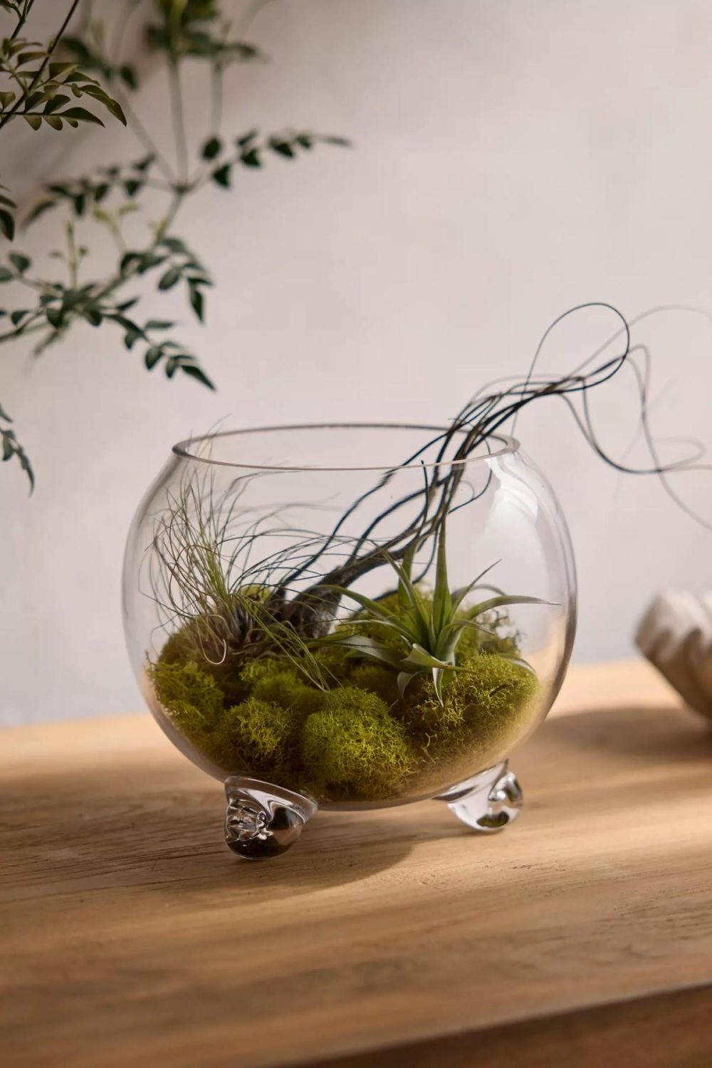 Planters | Elevated Fishbowl Terrarium Clear Garden Clear