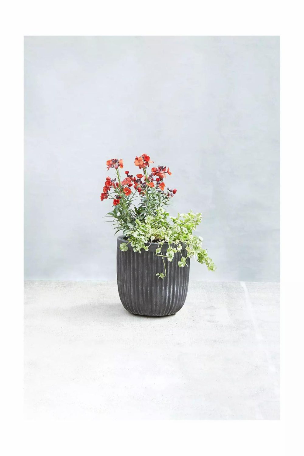 Planters | Fiber Concrete Barrel Pot, 9 Black Garden Black