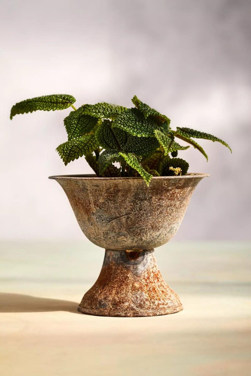 Planters | Fluted Iron Urn Planter Natural Garden Natural