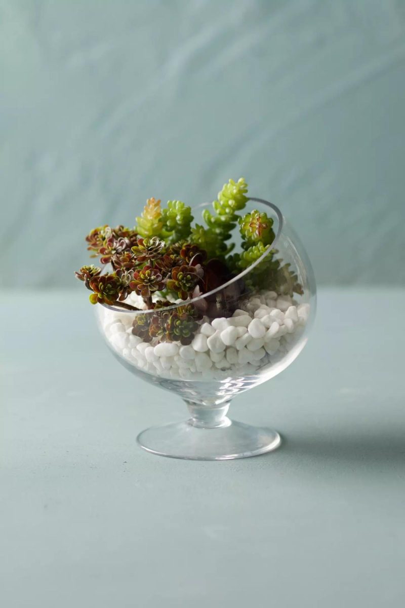 Planters | Footed Spotlight Terrarium, Small Clear Garden Clear