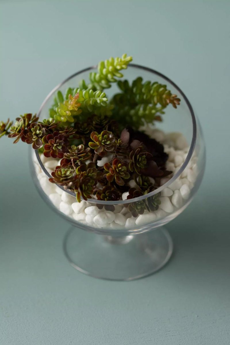 Planters | Footed Spotlight Terrarium, Small Clear Garden Clear