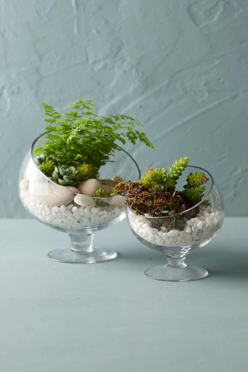 Planters | Footed Spotlight Terrarium, Small Clear Garden Clear