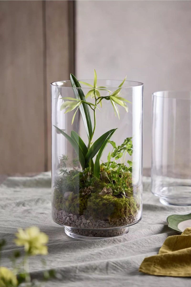 Planters | Glass Cylinder Terrarium Assorted Garden Assorted